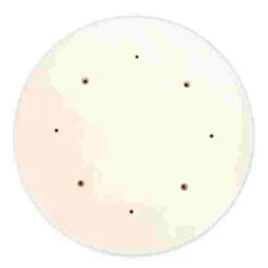 Varussell Enlarging Disc