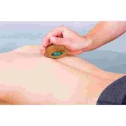 Sport Sales Store -Sport Sales Store 183 9904 2