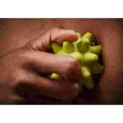 RumbleRoller Beastie Ball -Sport Sales Store 256 9316 8