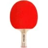 Sport-Thieme "Beginner" Table Tennis Bat 1 Sport-Thieme "Beginner" Table Tennis Bat -Sport Sales Store 293 0116